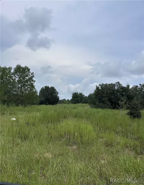 2171 E Four Seasons Ln, Inverness, FL 34453