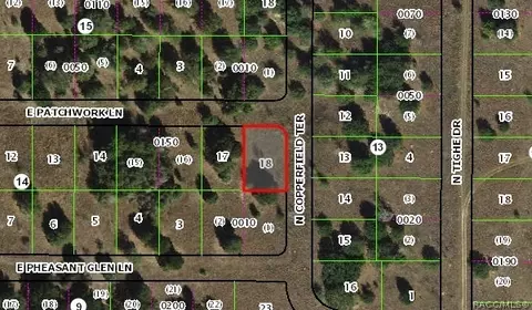 2070 E Patchwork Ln, Inverness, FL 34453 photo 3