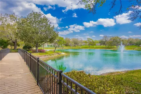Other - 6293 W Glynborne Loop, Crystal River, FL 34429 photo 18 of 20