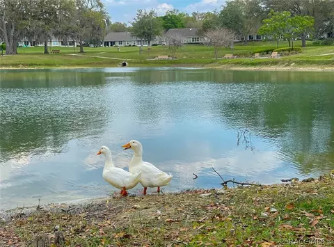 Other - 6293 W Glynborne Loop, Crystal River, FL 34429 photo 20 of 20