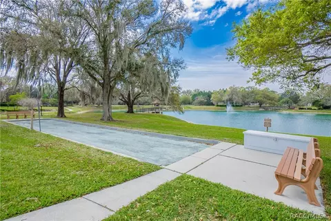 View/Area - 6293 W Glynborne Loop, Crystal River, FL 34429 photo 3 of 3