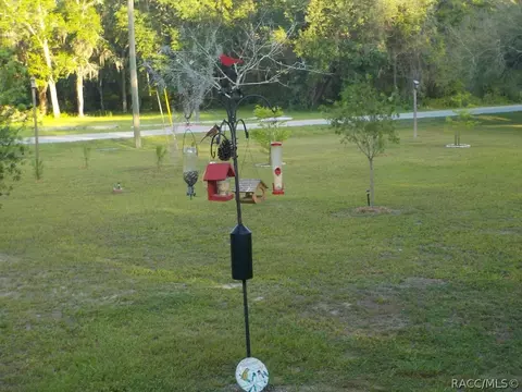 Other - 6580 N Sourgum Ter, Hernando, FL 34442 photo 15 of 16