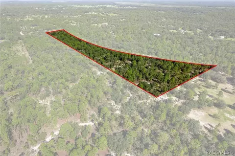 10806 N Statue Pt, Dunnellon, FL 34433