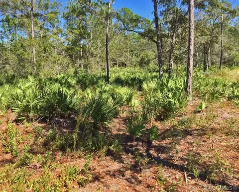 8503 W Freemont St, Homosassa, FL 34448