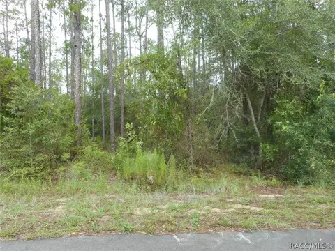 L5 SW Southview Court, Dunnellon, FL 34431