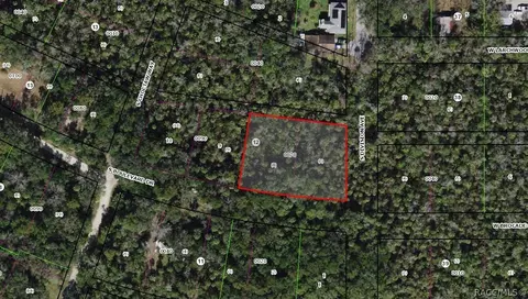 5797 S Boulevard Dr, Homosassa, FL 34448