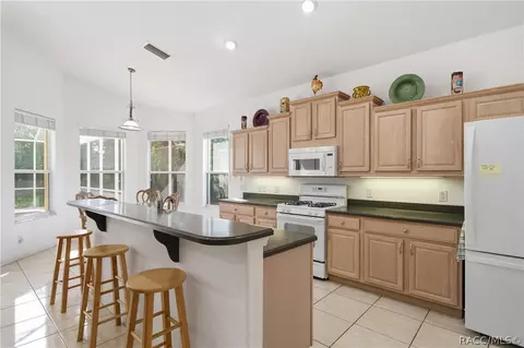 Kitchen - 1675 N Shadowview Path, Hernando, FL 34442 photo 2 of 5