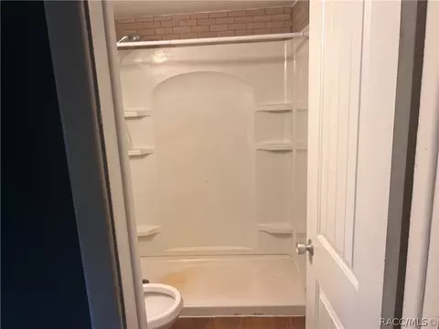 Bath - 4511 E Bahia Ln, Hernando, FL 34442 photo 1 of 3