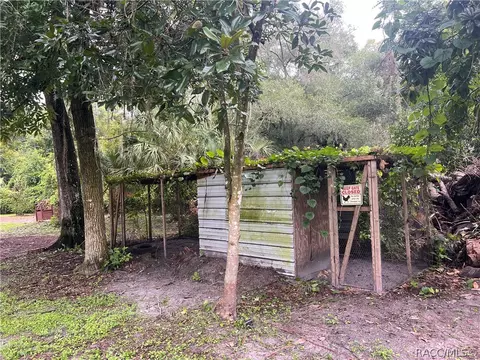 Exterior - 4511 E Bahia Ln, Hernando, FL 34442 photo 9 of 18