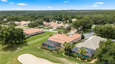 View/Area - 1611 N Dimaggio Path, Hernando, FL 34442 photo 2 of 13