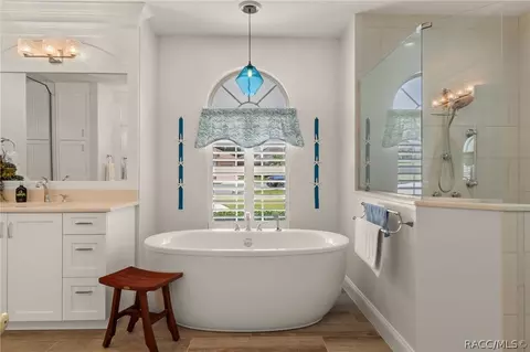 Bath - 496 W Mickey Mantle Path, Hernando, FL 34442 photo 1 of 7