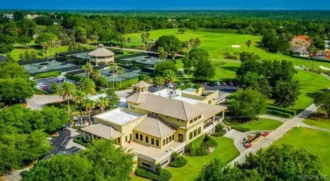 View/Area - 496 W Mickey Mantle Path, Hernando, FL 34442 photo 4 of 7