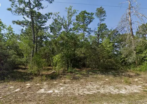 4230 W Fountain Ln, Dunnellon, FL 34433