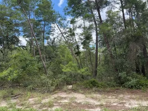 13 15 16 Petunias Ct, Homosassa, FL 34446