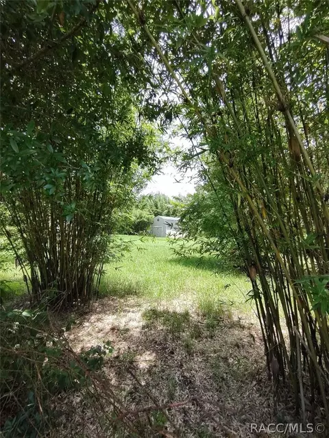 4274 E Nebraska Ln, Hernando, FL 34442 photo 6