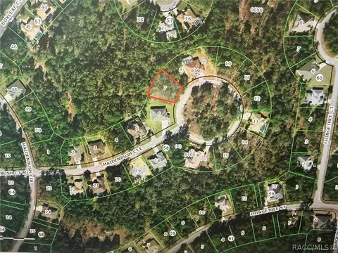 14 Maidenbush Ct E, Homosassa, FL 34446