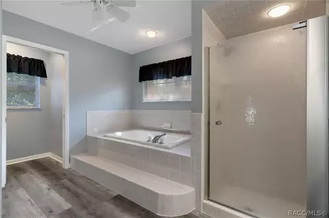 Bath - 270 N Grandview Ave, Hernando, FL 34442 photo 3 of 5