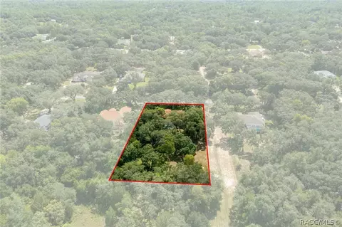 View/Area - 270 N Grandview Ave, Hernando, FL 34442 photo 8 of 10