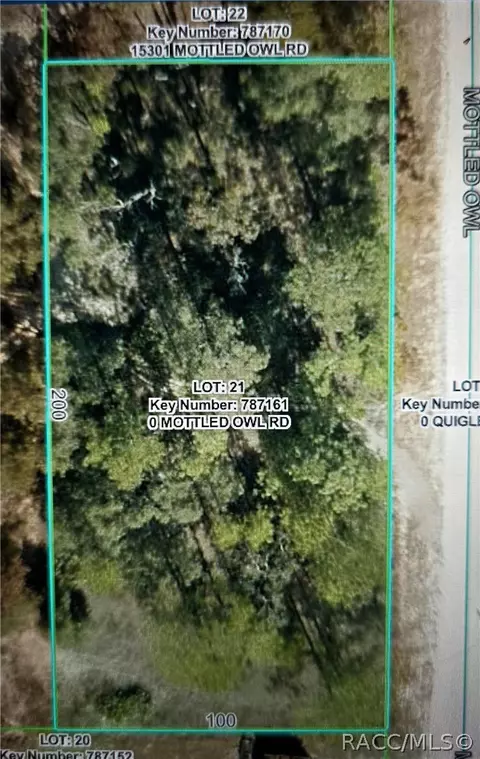 15281 Mottled Owl Rd, Weeki Wachee, FL 34614