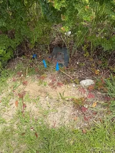 2662 E Norvell Bryant Hwy, Hernando, FL 34442 photo 9