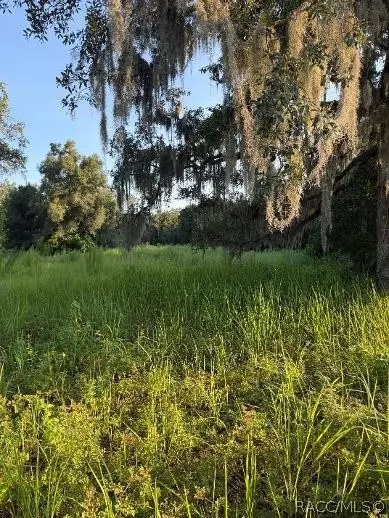 2662 E Norvell Bryant Hwy, Hernando, FL 34442 photo 12