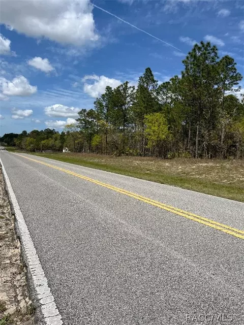 2662 E Norvell Bryant Hwy, Hernando, FL 34442 photo 4