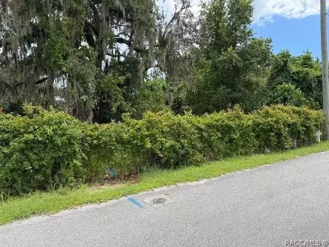 2662 E Norvell Bryant Hwy, Hernando, FL 34442 photo 11