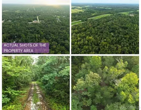 14186 Rosy Gull Ave, Weeki Wachee, FL 34614