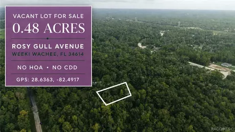 14186 Rosy Gull Ave, Weeki Wachee, FL 34614