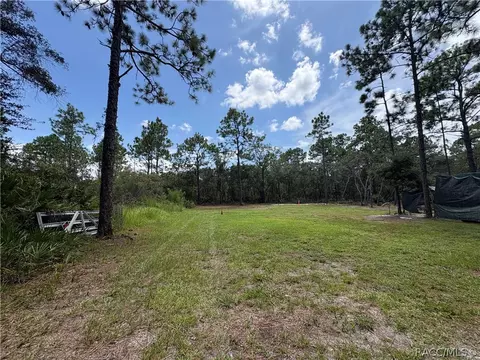 394 N Florene Pt, Crystal River, FL 34429