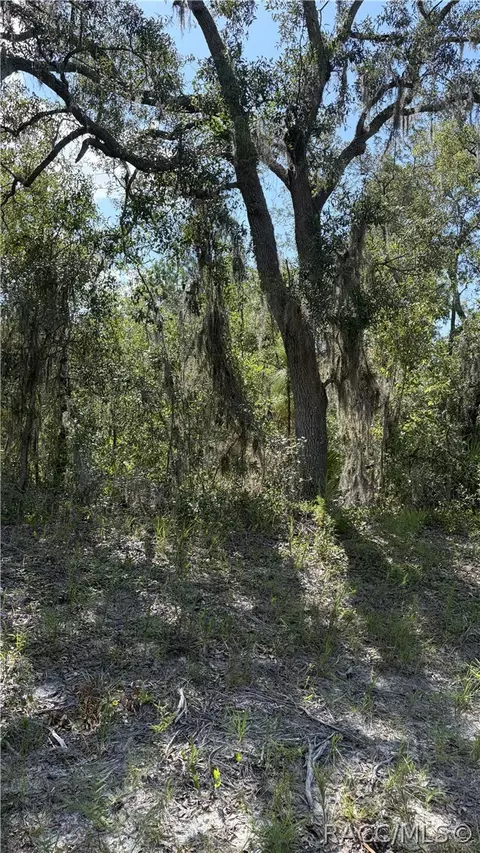 2199 N Stampede Dr, Beverly Hills, FL 34465