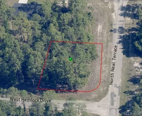 805 W Hemlock Dr, Citrus Springs, FL 34434