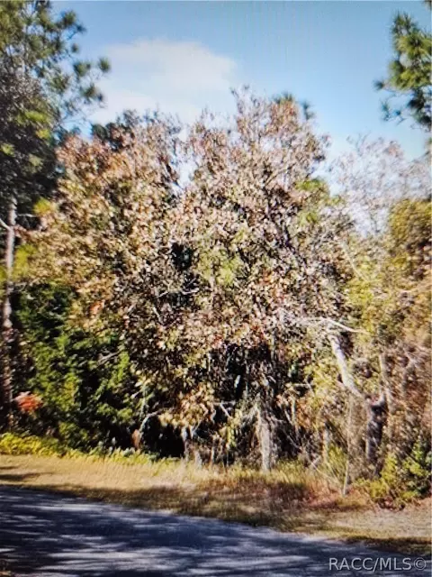 18 Longleaf Ct, Homosassa, FL 34446