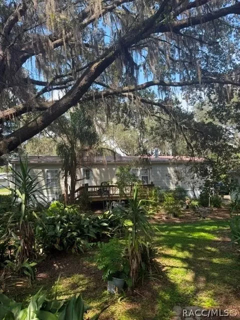6302 Cherrytree Ter N, Hernando, FL 34442 photo 13