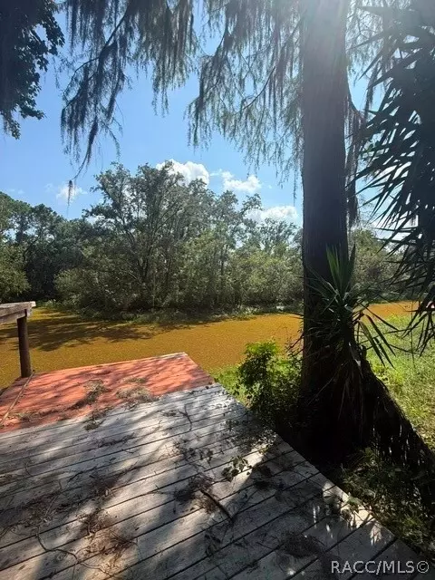 6302 Cherrytree Ter N, Hernando, FL 34442 photo 12