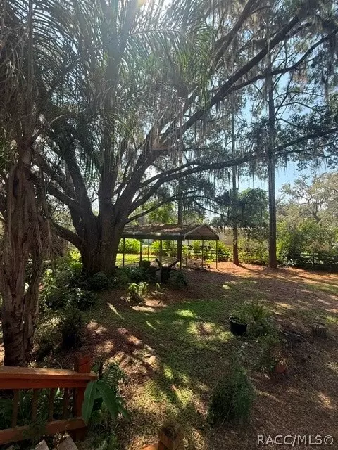 6302 Cherrytree Ter N, Hernando, FL 34442 photo 9