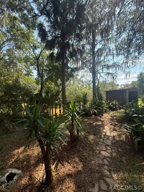 6302 Cherrytree Ter N, Hernando, FL 34442 photo 10