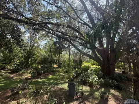 6302 Cherrytree Ter N, Hernando, FL 34442 photo 8