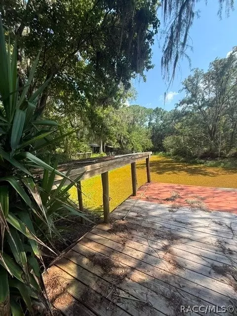 6302 Cherrytree Ter N, Hernando, FL 34442 photo 11
