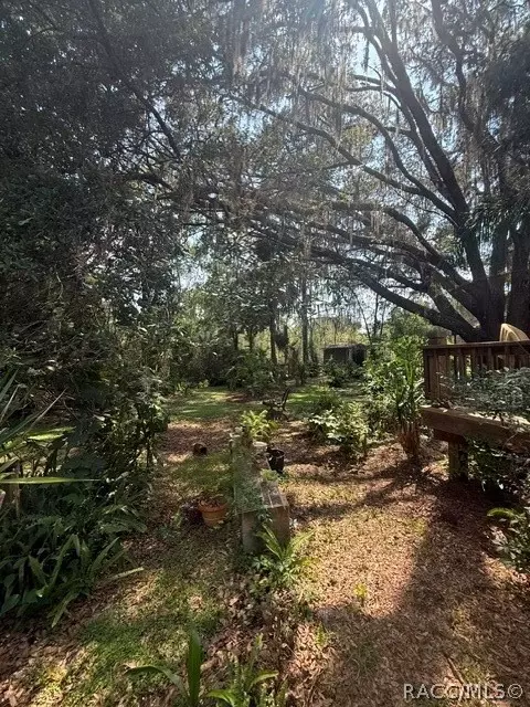 6302 Cherrytree Ter N, Hernando, FL 34442 photo 7