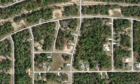 11155 N Edna Ter, Citrus Springs, FL 34433