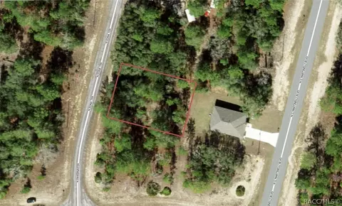 11155 N Edna Ter, Citrus Springs, FL 34433