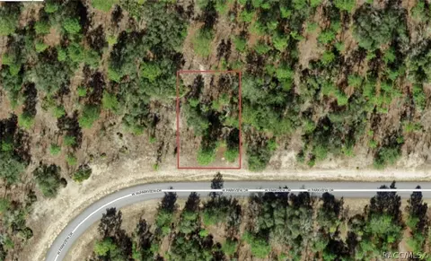 3607 W Parkview Dr, Citrus Springs, FL 34433