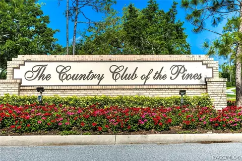 View/Area - 2376 Bent Pine Ct, Spring Hill, FL 34606 photo 15 of 22