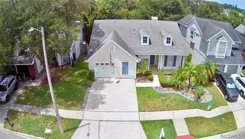 11838 Branch Mooring Dr, Tampa, FL 33635