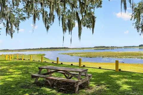 View/Area - 2489 N Lakefront Dr, Hernando, FL 34442 photo 8 of 11