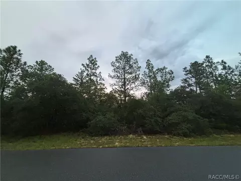 4043 W 4049 W Abeline Dr, Dunnellon, FL 34433