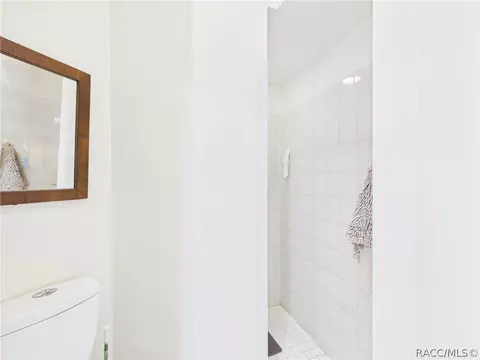 Bath - 277 E Liberty St, Hernando, FL 34442 photo 5 of 6
