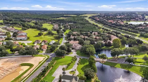 View/Area - 1706 W Spring Meadow Loop, Lecanto, FL 34461 photo 7 of 8