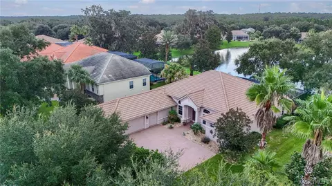 View/Area - 1041 W Beagle Run Loop, Hernando, FL 34442 photo 6 of 21